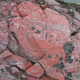 Estas rocas encontradas en Quebec contienen fósiles microbianos que datan de hace 3.770 millones de años (Imagen: Dominic Papineau)